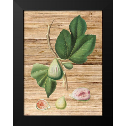Pressed Fruit 2 Black Modern Wood Framed Art Print by Bailey, Ann