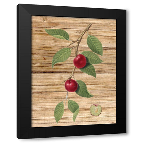 Pressed Fruit 3 Black Modern Wood Framed Art Print by Bailey, Ann