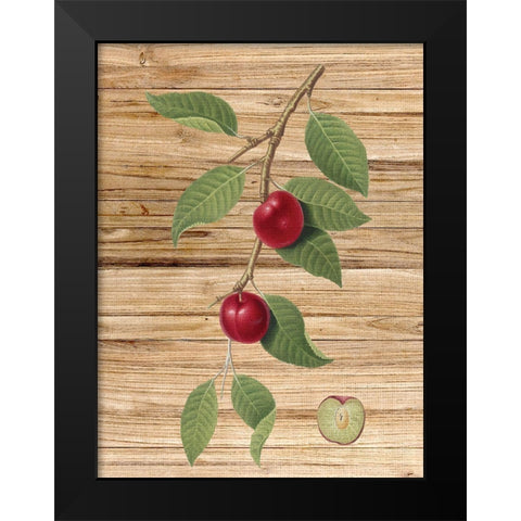 Pressed Fruit 3 Black Modern Wood Framed Art Print by Bailey, Ann
