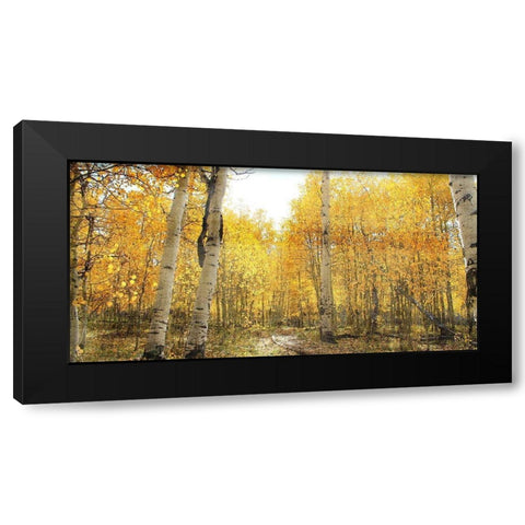 Aspen Pathway Black Modern Wood Framed Art Print with Double Matting by Bailey, Ann