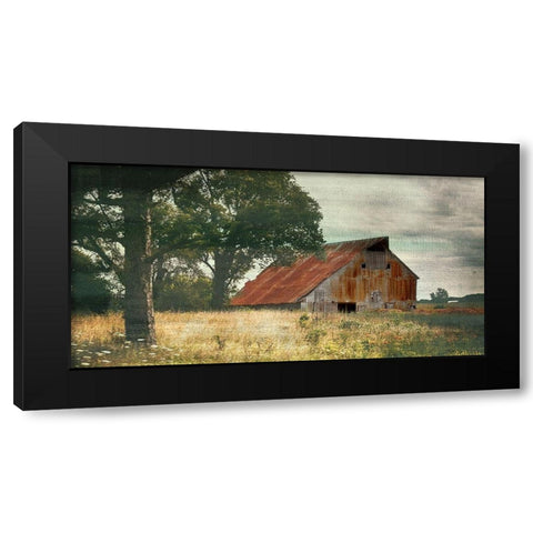 Country Life Black Modern Wood Framed Art Print by Bailey, Ann