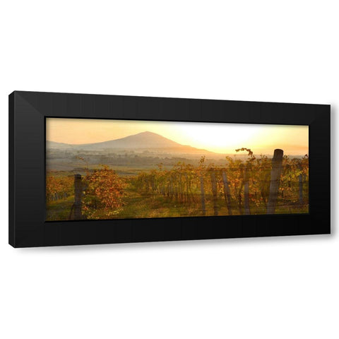 Dawn Over the Vineyard Black Modern Wood Framed Art Print by Bailey, Ann