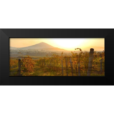 Dawn Over the Vineyard Black Modern Wood Framed Art Print by Bailey, Ann