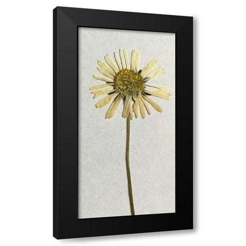 Happy 1 Black Modern Wood Framed Art Print by Bailey, Ann