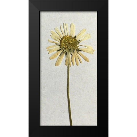 Happy 1 Black Modern Wood Framed Art Print by Bailey, Ann