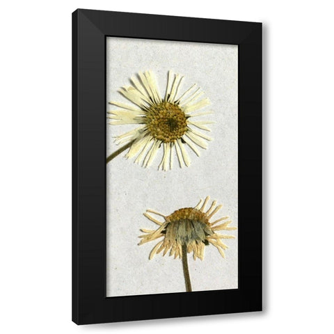 Happy 2 Black Modern Wood Framed Art Print by Bailey, Ann