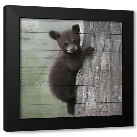 Bear Cub 2 Black Modern Wood Framed Art Print with Double Matting by Bailey, Ann