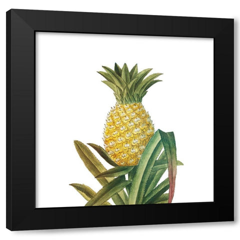 Aloha 4 Black Modern Wood Framed Art Print with Double Matting by Bailey, Ann