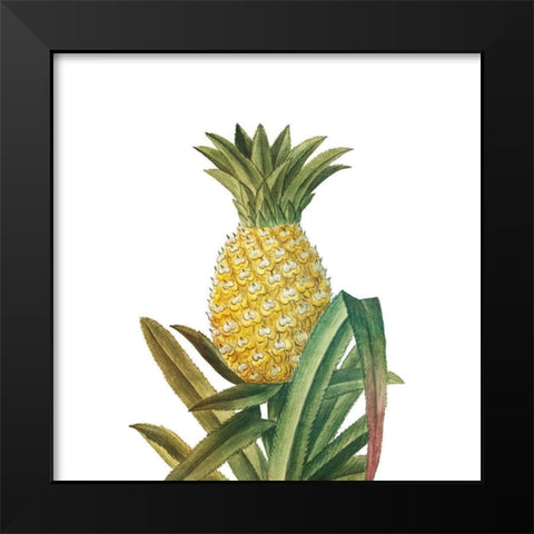 Aloha 4 Black Modern Wood Framed Art Print by Bailey, Ann