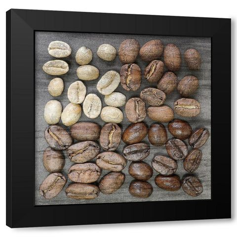 Coffee Beans 1 Black Modern Wood Framed Art Print with Double Matting by Bailey, Ann