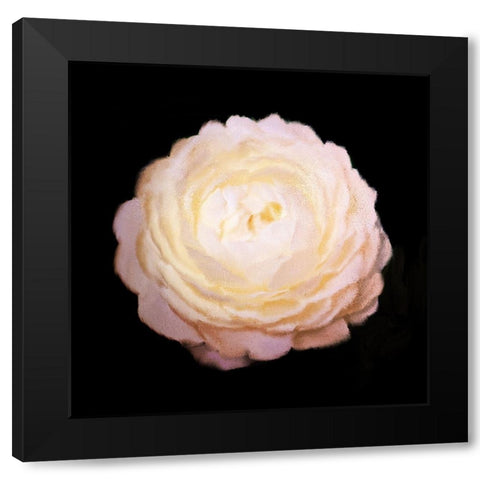 Rose Gold Black Modern Wood Framed Art Print by Bailey, Ann