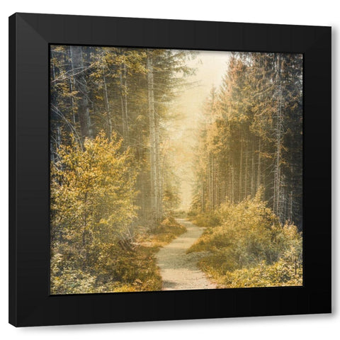 Golden Path Black Modern Wood Framed Art Print with Double Matting by Bailey, Ann