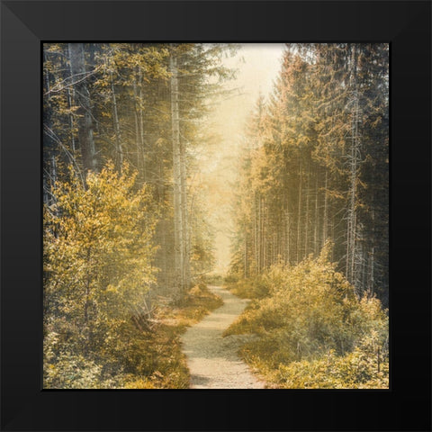 Golden Path Black Modern Wood Framed Art Print by Bailey, Ann