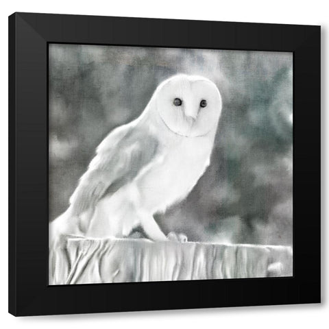 White Barn Owl Black Modern Wood Framed Art Print with Double Matting by Bailey, Ann