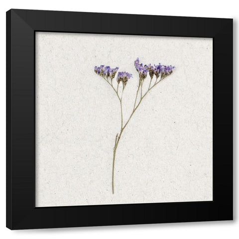 Dainty Purple 1 Black Modern Wood Framed Art Print by Bailey, Ann