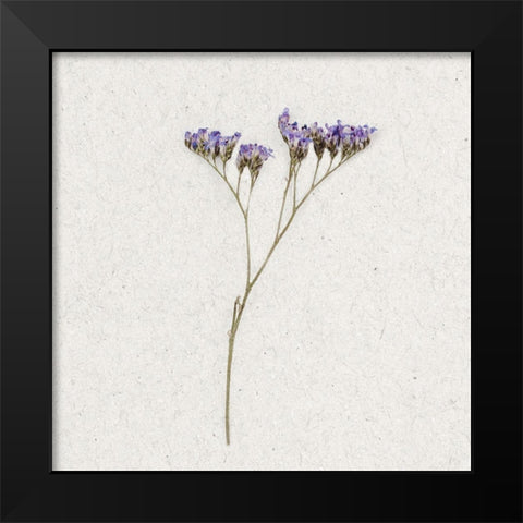 Dainty Purple 1 Black Modern Wood Framed Art Print by Bailey, Ann