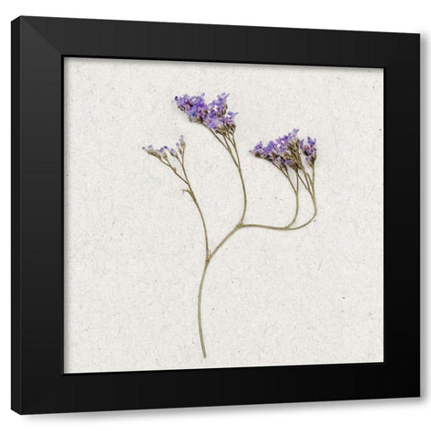 Dainty Purple 2 Black Modern Wood Framed Art Print by Bailey, Ann