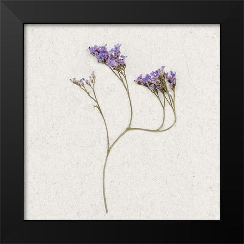 Dainty Purple 2 Black Modern Wood Framed Art Print by Bailey, Ann