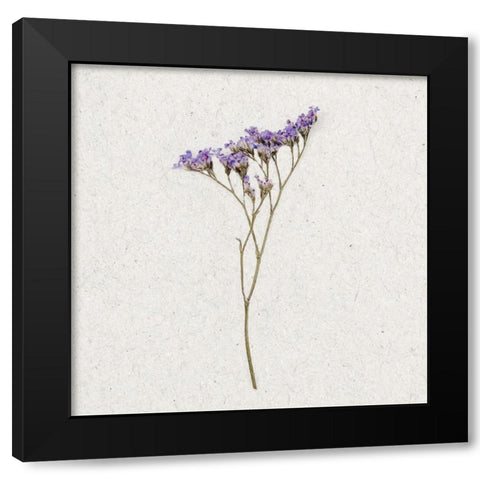 Dainty Purple 3 Black Modern Wood Framed Art Print with Double Matting by Bailey, Ann