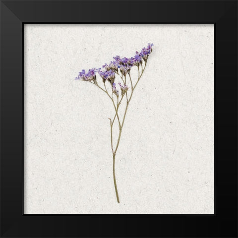 Dainty Purple 3 Black Modern Wood Framed Art Print by Bailey, Ann