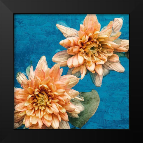 Orange Chrysanthemums Black Modern Wood Framed Art Print by Bailey, Ann