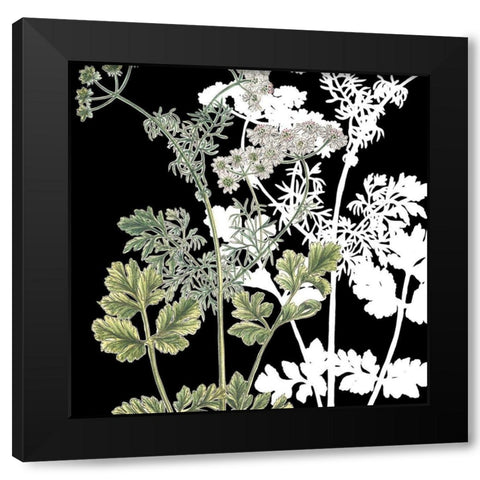 Botanical Sage and White 2 Black Modern Wood Framed Art Print with Double Matting by Bailey, Ann
