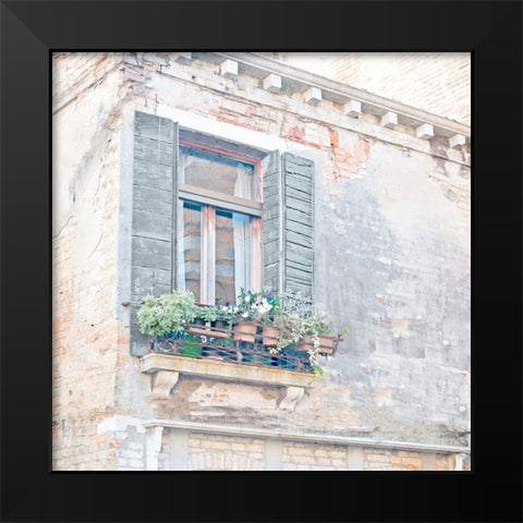 Window BoxWindow Box Black Modern Wood Framed Art Print by Bailey, Ann