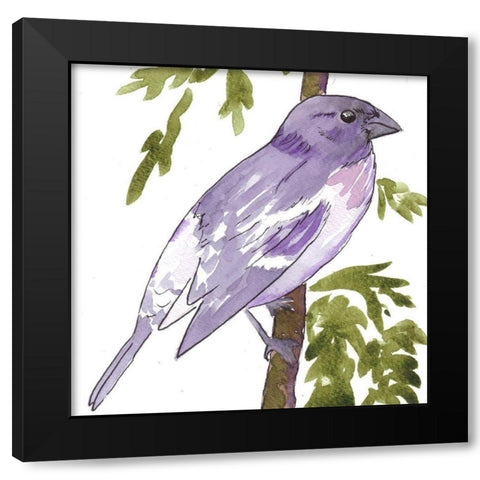 Vibrant Bird 1 Black Modern Wood Framed Art Print by Dyer, Beverly