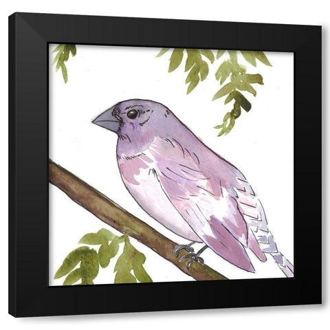Vibrant Bird 2 Black Modern Wood Framed Art Print by Dyer, Beverly
