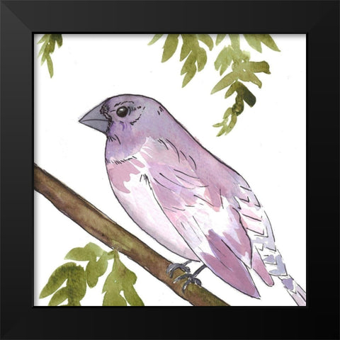 Vibrant Bird 2 Black Modern Wood Framed Art Print by Dyer, Beverly