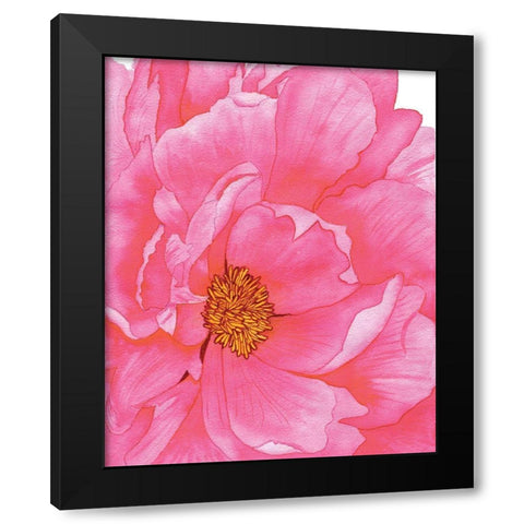 Pink Flower 2 Black Modern Wood Framed Art Print with Double Matting by Gosavi, Bhakti