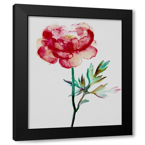 Red Peony Black Modern Wood Framed Art Print with Double Matting by Boho Hue Studio