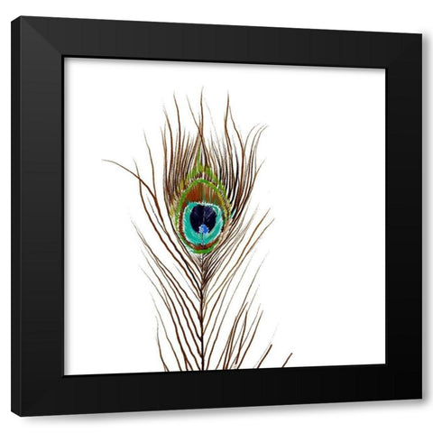 Peacock Single 2 Black Modern Wood Framed Art Print by Boho Hue Studio