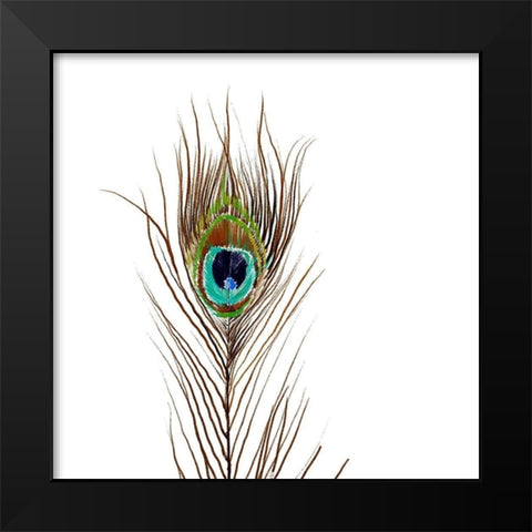 Peacock Single 2 Black Modern Wood Framed Art Print by Boho Hue Studio