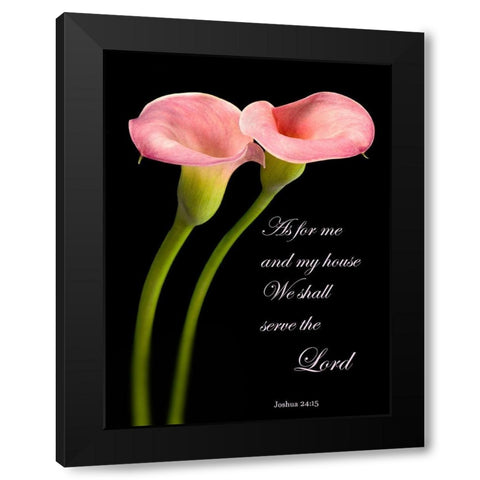 Joshua 24.15 Calla Lilies Black Modern Wood Framed Art Print with Double Matting by Seidman, Barry