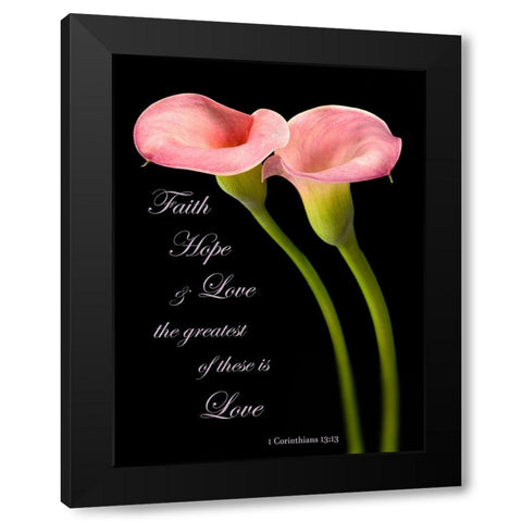 The Greatest Calla Lilies Black Modern Wood Framed Art Print with Double Matting by Seidman, Barry