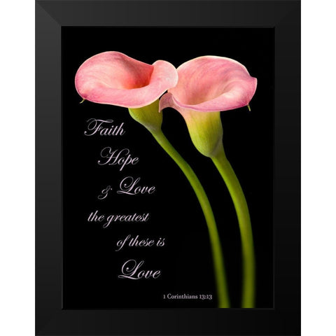 The Greatest Calla Lilies Black Modern Wood Framed Art Print by Seidman, Barry