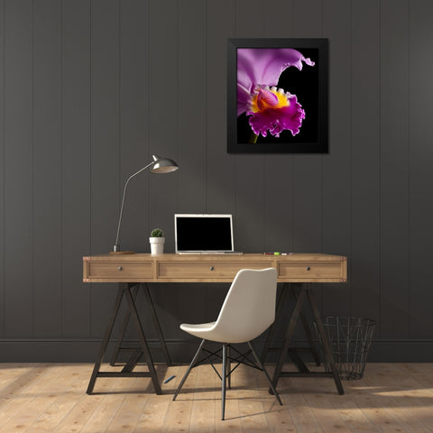 Purple Orchid Black Modern Wood Framed Art Print by Seidman, Barry