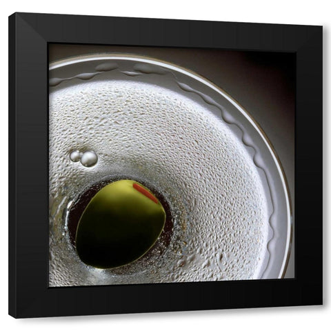 Birds Eye Martini Black Modern Wood Framed Art Print by Seidman, Barry