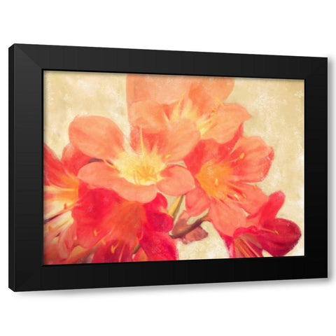 Sun Fire Florals Black Modern Wood Framed Art Print by Alvarez, Cynthia