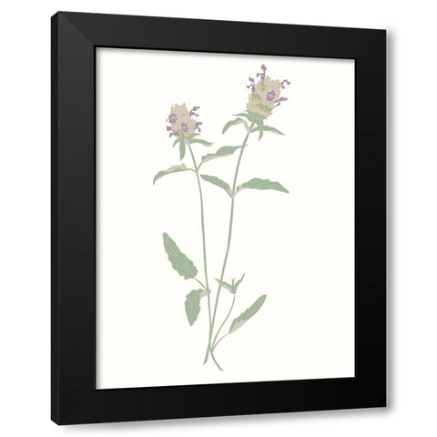 Wildflowers Heal All Black Modern Wood Framed Art Print with Double Matting by Sweet Melody Designs