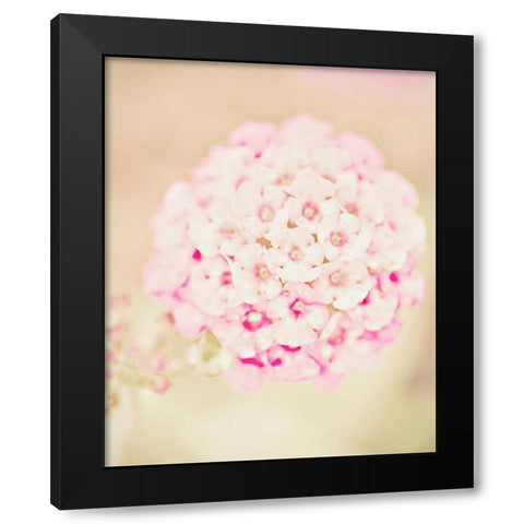 Pink Flower Ball Black Modern Wood Framed Art Print with Double Matting by Davis Ashley