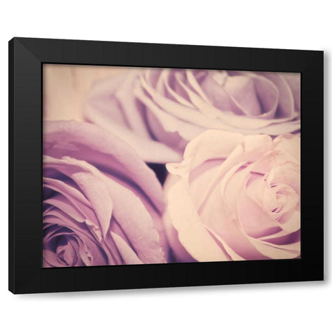 Purple vintage roses Black Modern Wood Framed Art Print with Double Matting by Davis Ashley