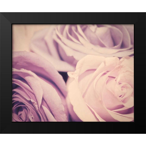 Purple vintage roses Black Modern Wood Framed Art Print by Davis Ashley