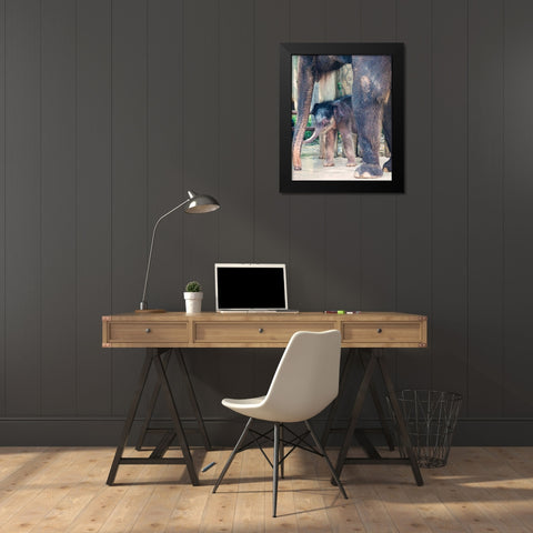 Bowie and mom Black Modern Wood Framed Art Print by Davis Ashley