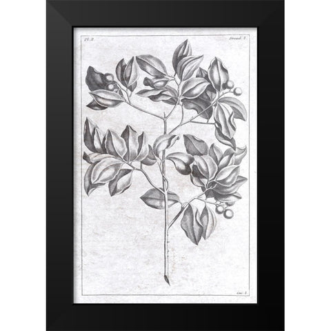 Palm 2 Black Modern Wood Framed Art Print by Brown, Denise