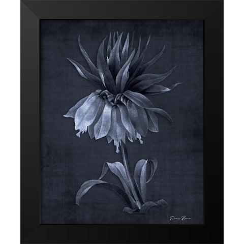 Botanical Edge 4 Black Modern Wood Framed Art Print by Brown, Denise