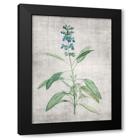 Blue Botanical 1 Black Modern Wood Framed Art Print by Brown, Denise