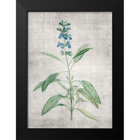 Blue Botanical 1 Black Modern Wood Framed Art Print by Brown, Denise