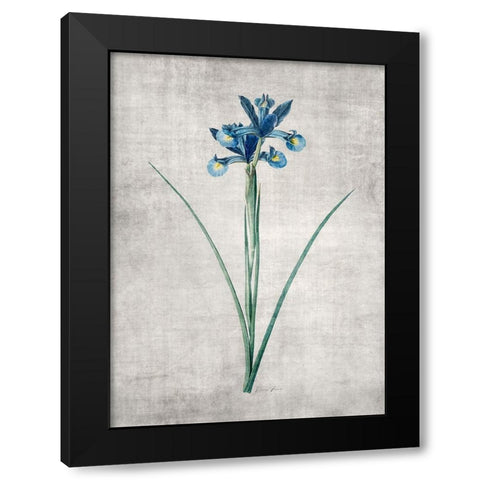 Blue Botanical 2 Black Modern Wood Framed Art Print by Brown, Denise